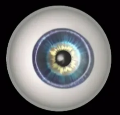 Image for Arabic: Diabetic Retinopathy